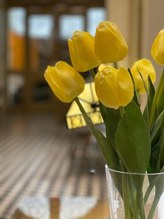Boutique Hotel Belgica Понсе Екстериор снимка